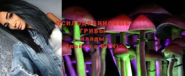 бошки Верхний Тагил