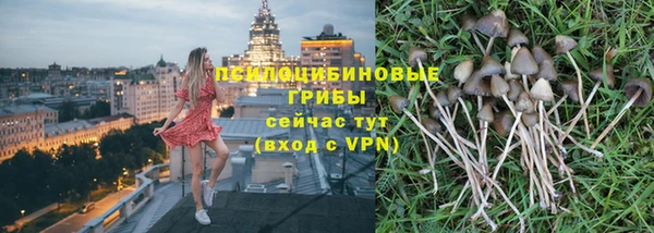 mdpv Верея