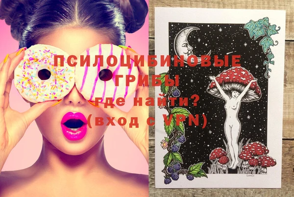 бошки Верхний Тагил