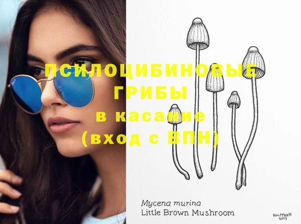 бошки Верхний Тагил