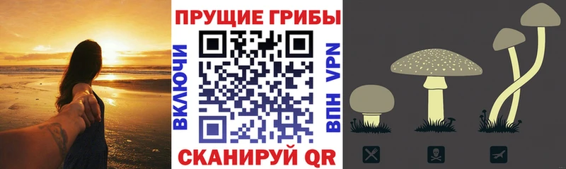 Псилоцибиновые грибы MAGIC MUSHROOMS  Купить где  Гагарин 