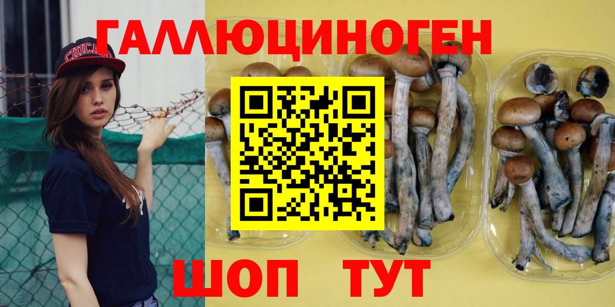 Псилоцибиновые грибы ЛСД Гагарин