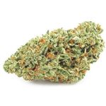 Шишки OG Kush  (Гидропоника, бошки) VHQ в Гагарине